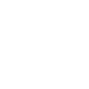 AMEX - WHT