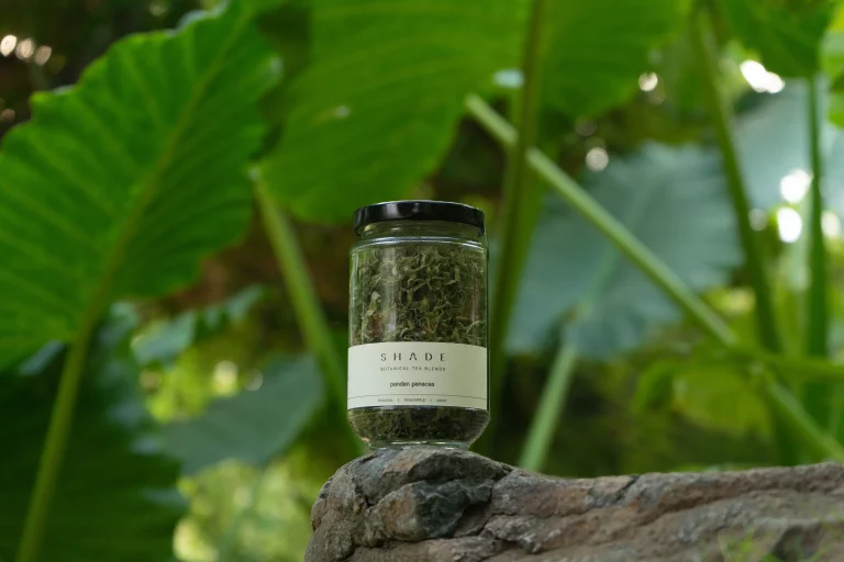SHADE_Botanicals_-_Loose_Leaf_Tea_Blends_-_Drinking_Lifetyle_-_330_mL_Recycled_Glass_Jar_-_Pandan_Panacea_Variant