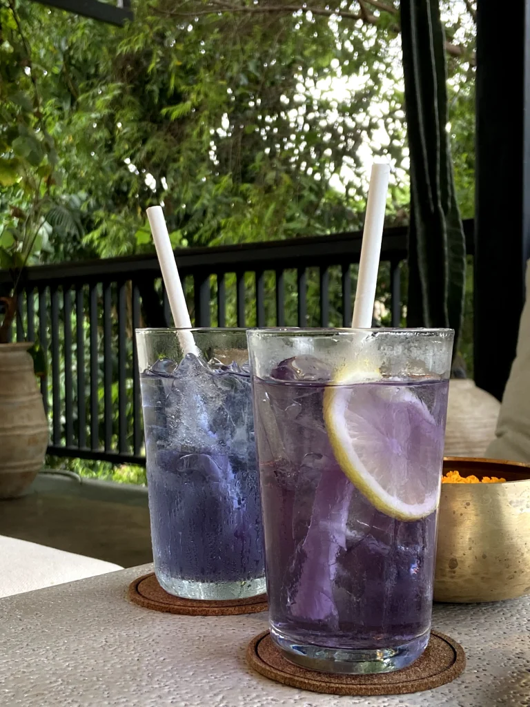 SHADE_Botanicals_-_Loose_Leaf_Tea_Blends_-_Drinking_Lifetyle_-_Blue_Dream_Iced_Tea_Variant