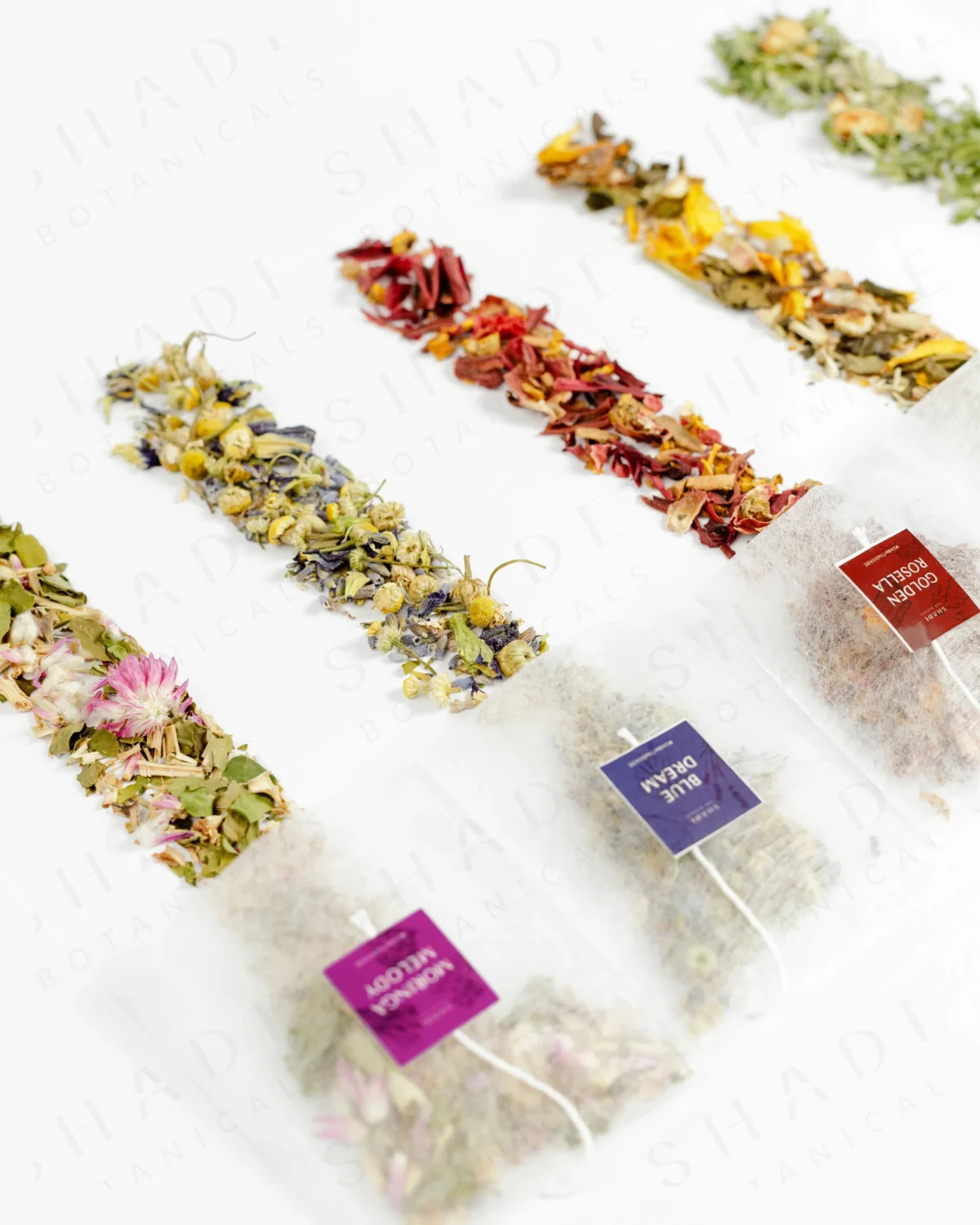 SHADE_Botanicals_-_Tea_Bag_with_Loose_Leaf_Tea_Blends_-_Drinking_Lifetyle_-_Blue_Dream_Variant