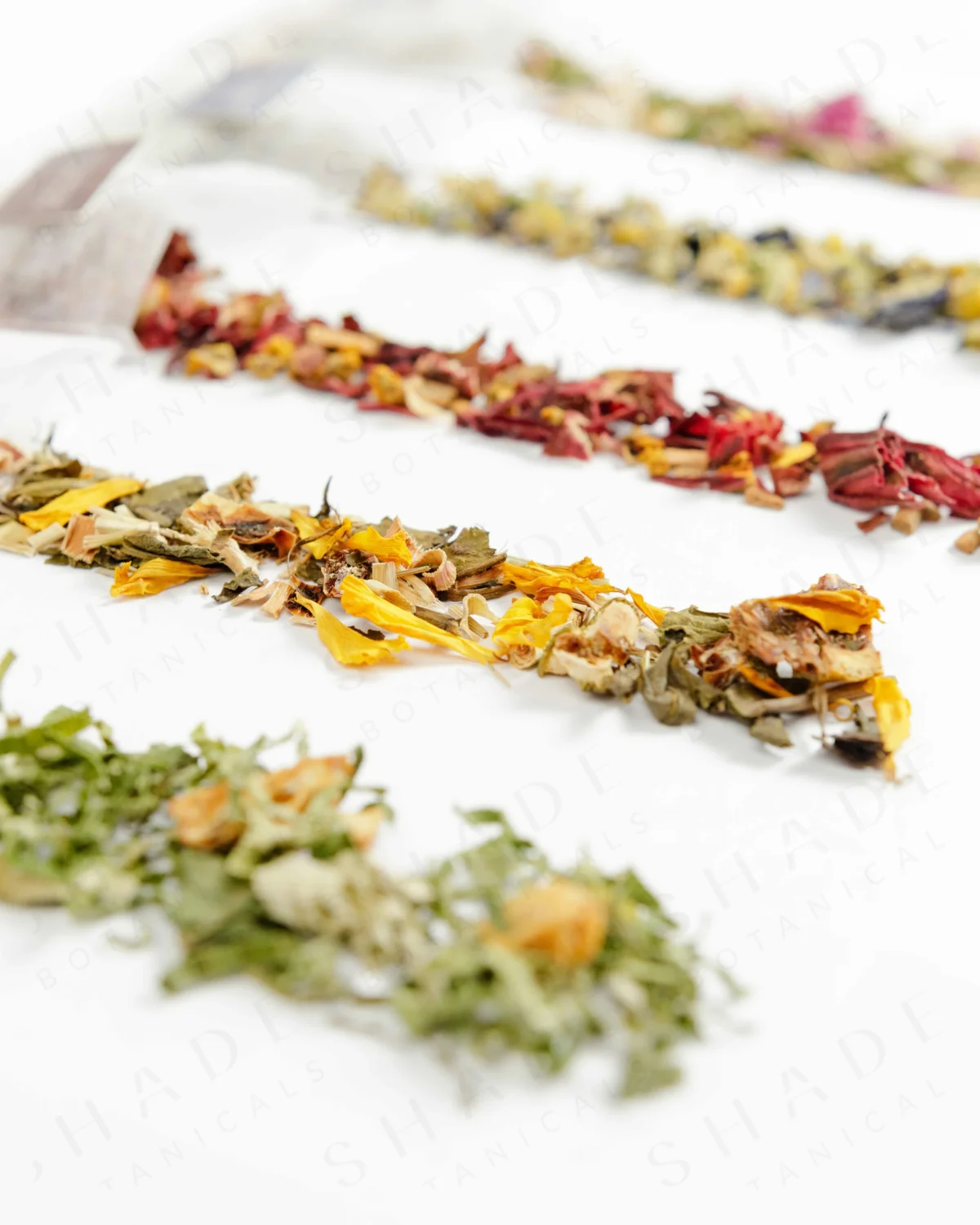 SHADE_Botanicals_-_Tea_Bag_with_Loose_Leaf_Tea_Blends_-_Drinking_Lifetyle_-_Citrus_Green_Variant