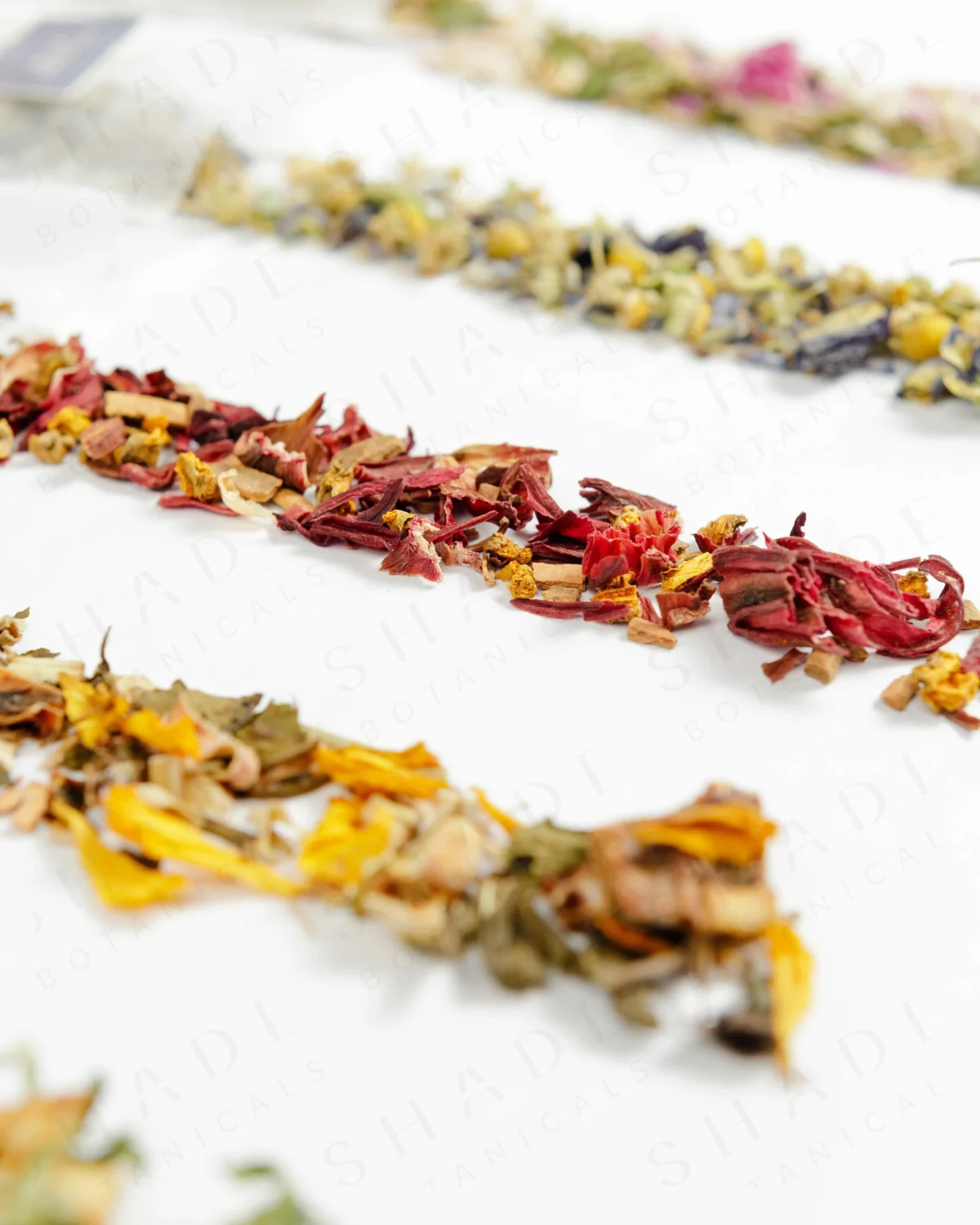 SHADE_Botanicals_-_Tea_Bag_with_Loose_Leaf_Tea_Blends_-_Drinking_Lifetyle_-_Golden_Rosella_Variant