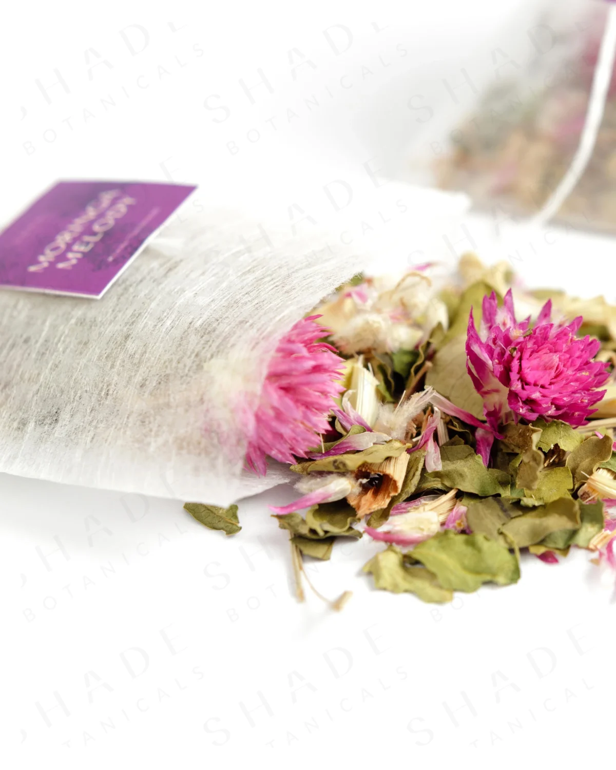 SHADE_Botanicals_-_Tea_Bag_with_Loose_Leaf_Tea_Blends_-_Drinking_Lifetyle_-_Moringa_Melody_Variant