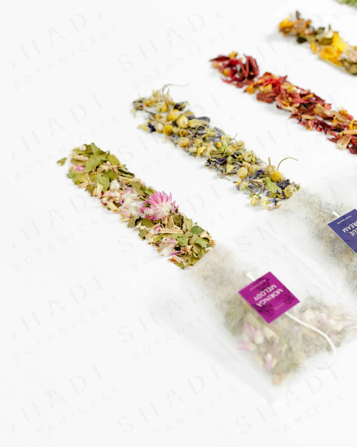SHADE_Botanicals_-_Tea_Bag_with_Loose_Leaf_Tea_Blends_-_Drinking_Lifetyle_-_Moringa_Melody_Variant