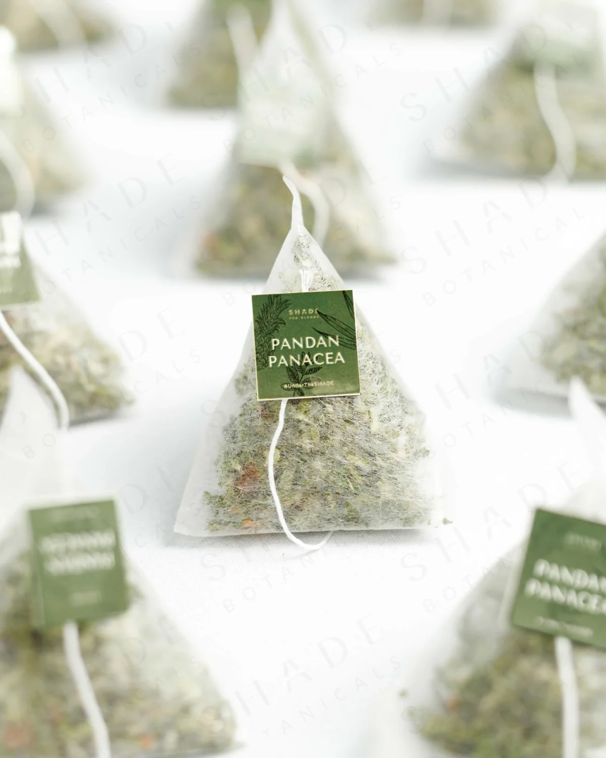 SHADE_Botanicals_-_Tea_Bag_with_Loose_Leaf_Tea_Blends_-_Drinking_Lifetyle_-_Pandan_Panacea_Variant