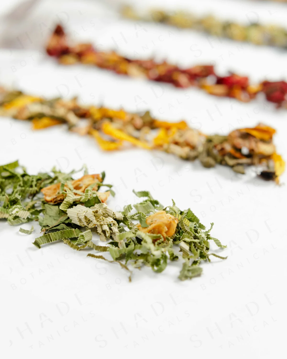 SHADE_Botanicals_-_Tea_Bag_with_Loose_Leaf_Tea_Blends_-_Drinking_Lifetyle_-_Pandan_Panacea_Variant