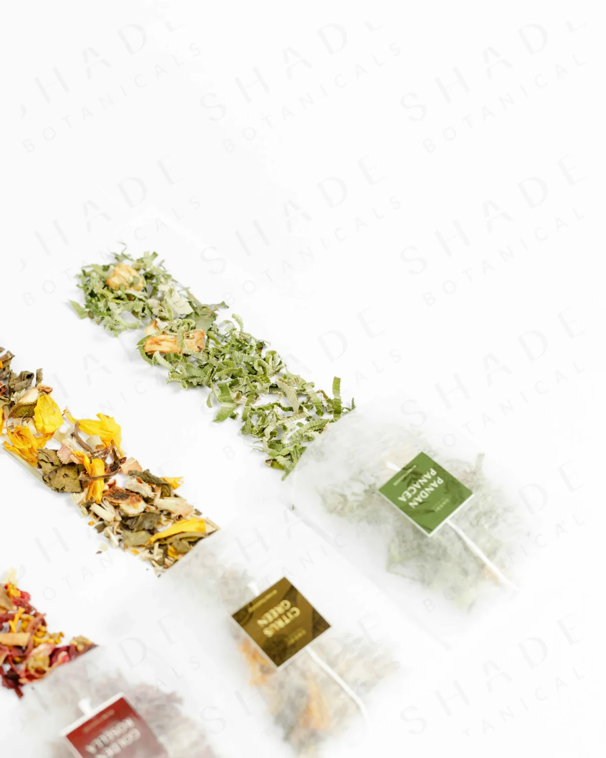 SHADE_Botanicals_-_Tea_Bag_with_Loose_Leaf_Tea_Blends_-_Drinking_Lifetyle_-_Pandan_Panacea_Variant